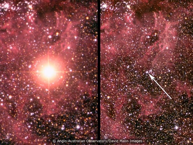 AAT 50. The field of supernova 1987A, before and after (March, 1