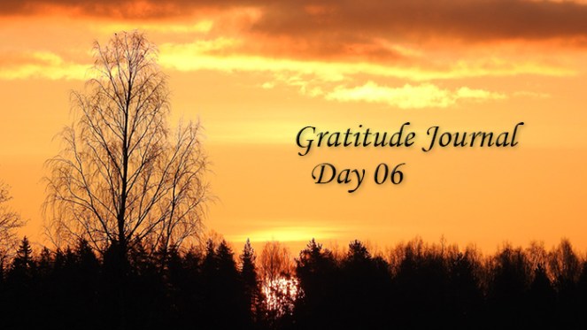 Gratitude06