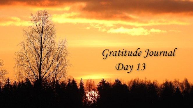 Gratitude13